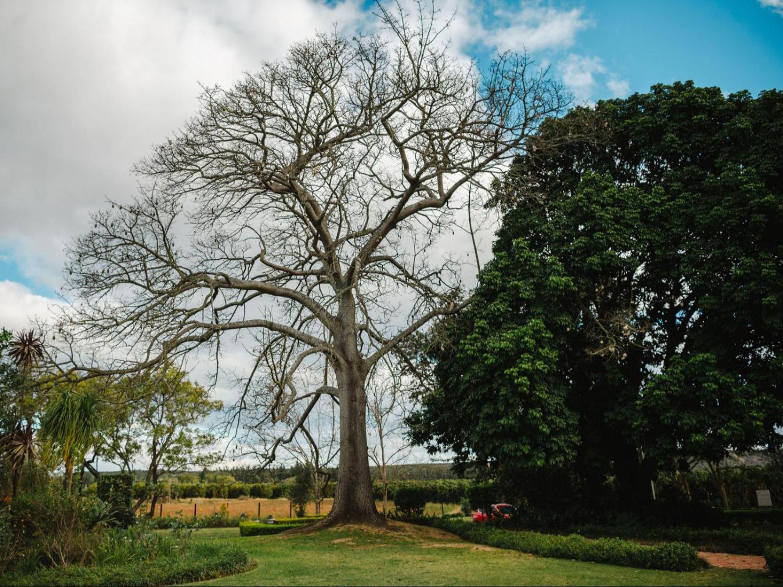 Hopefield Guesthouse-อัดโด ภายนอก รูปภาพ